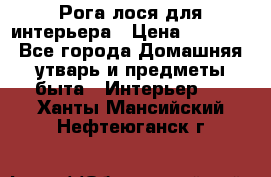 Рога лося для интерьера › Цена ­ 3 300 - Все города Домашняя утварь и предметы быта » Интерьер   . Ханты-Мансийский,Нефтеюганск г.